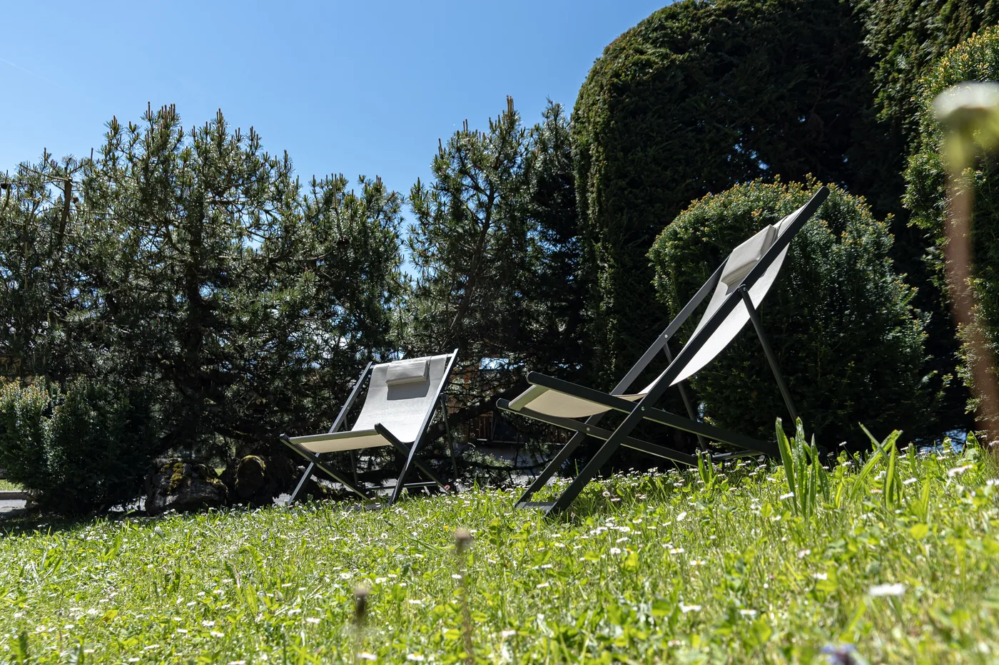 Jardin avec transats d'un chalet en gestion locative
