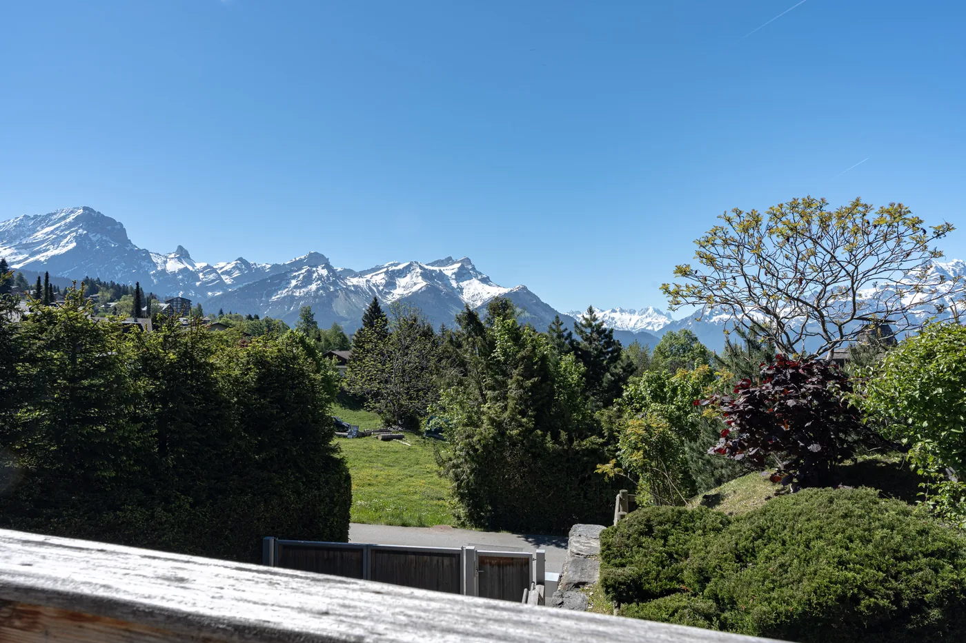 Jardin verdoyant avec vue sur les montagnes d'un logement géré par notre conciergerie